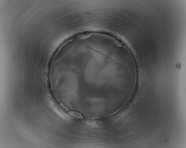 X0000110990439200906191431