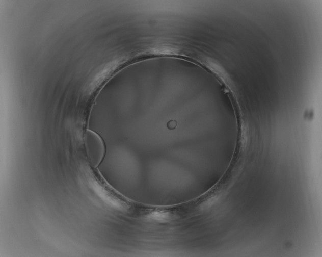 X0000110990441200906191431