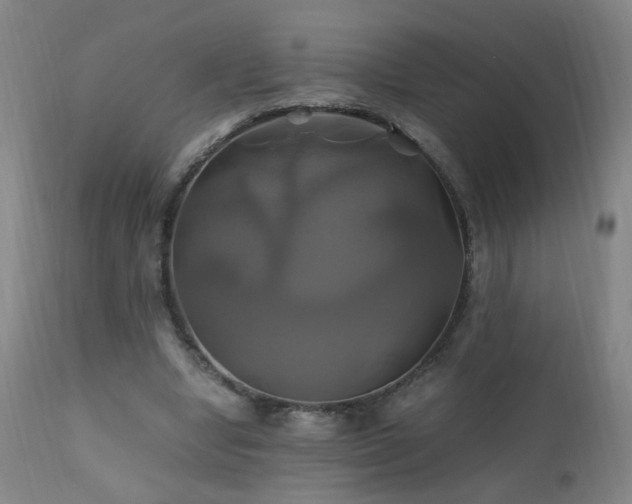 X0000110990442200906191431