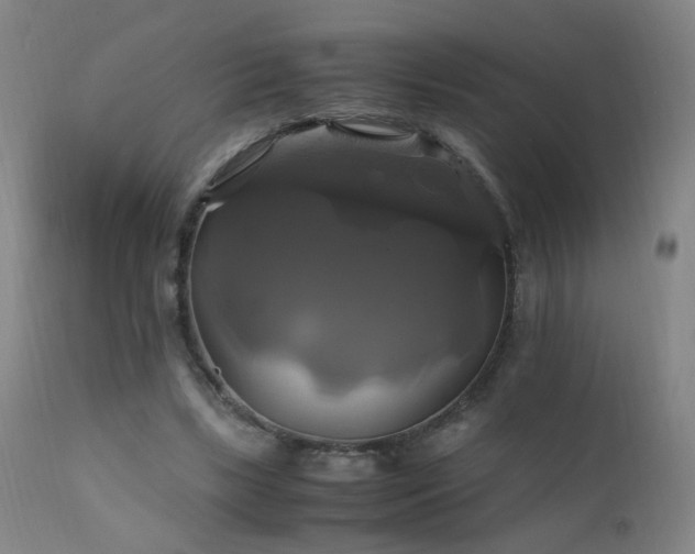 X0000110990443200906191431