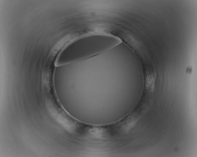 X0000110990444200906191431