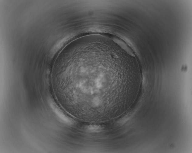 X0000110990445200906191431