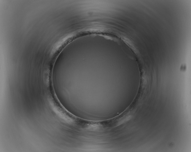 X0000110990446200906191431