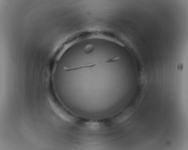 X0000110990448200906191431