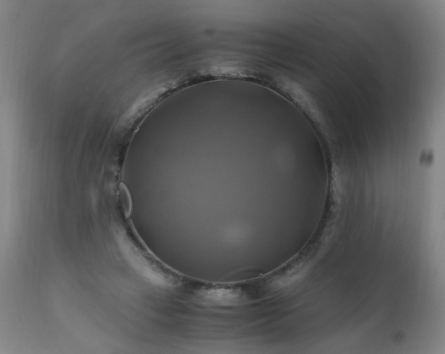 X0000110990449200906191431