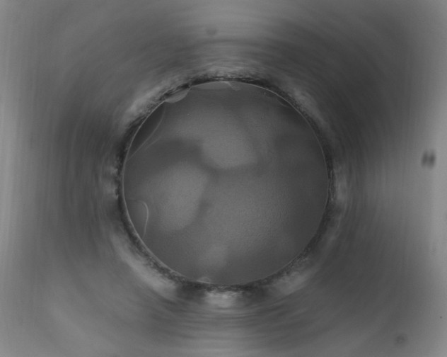 X0000110990450200906191431