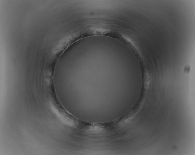 X0000110990451200906191431