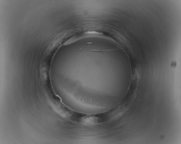 X0000110990452200906191431