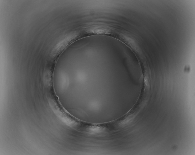 X0000110990453200906191431