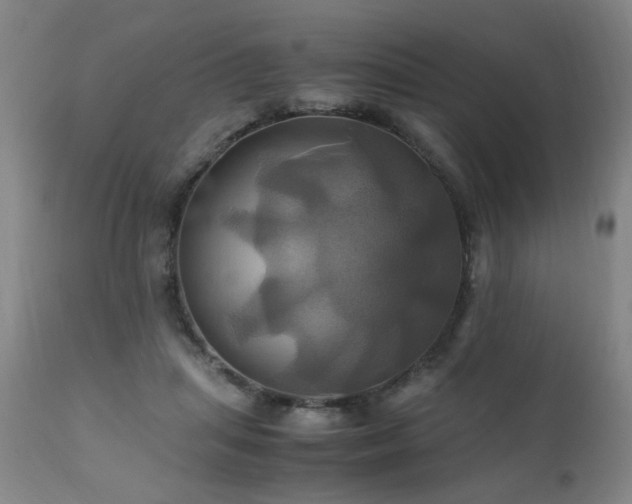 X0000110990455200906191431