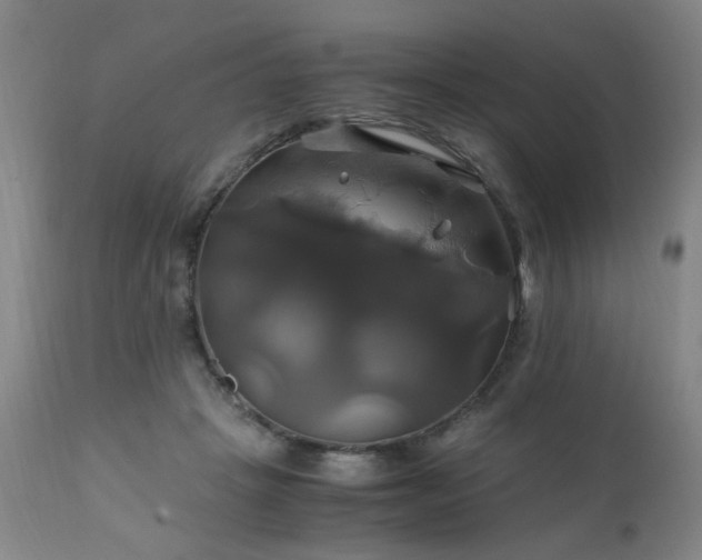 X0000110990457200906191431