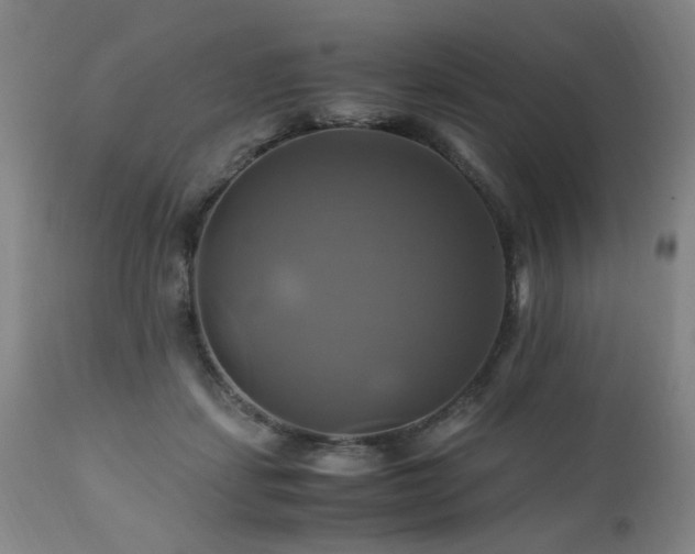 X0000110990459200906191431