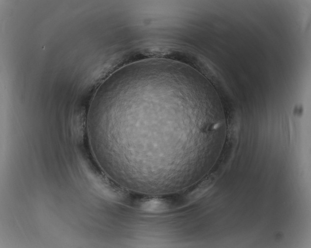 X0000110990460200906191431