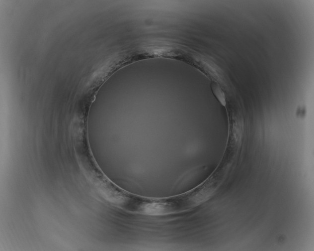 X0000110990461200906191431