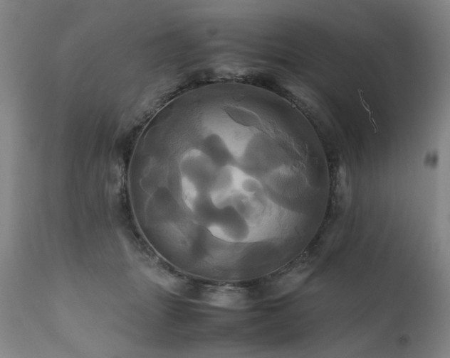X0000110990463200906191431