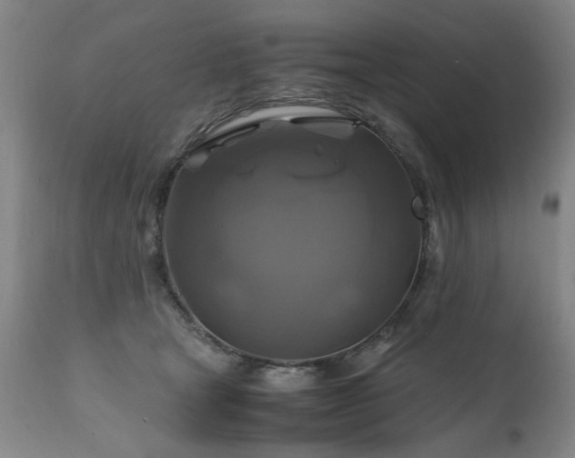X0000110990465200906191431