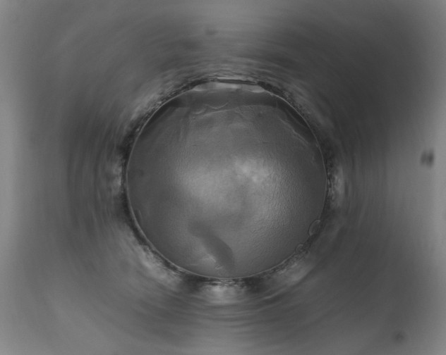X0000110990466200906191431