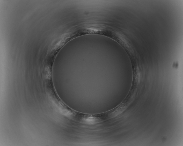 X0000110990467200906191431
