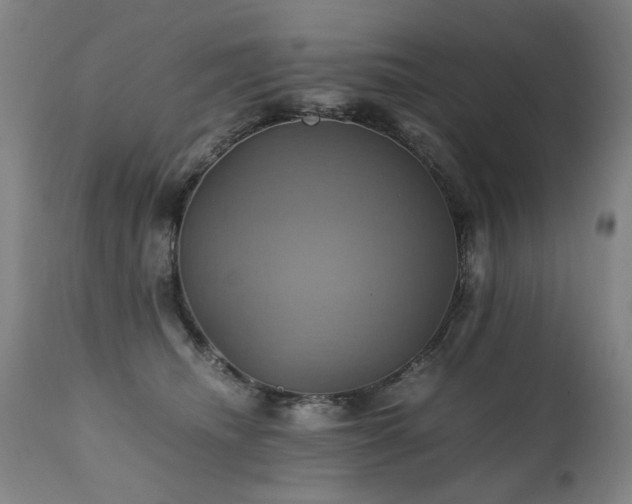 X0000110990468200906191431