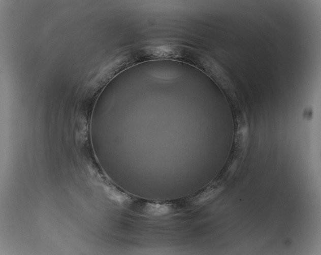 X0000110990469200906191431