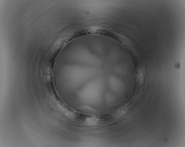 X0000110990470200906191431