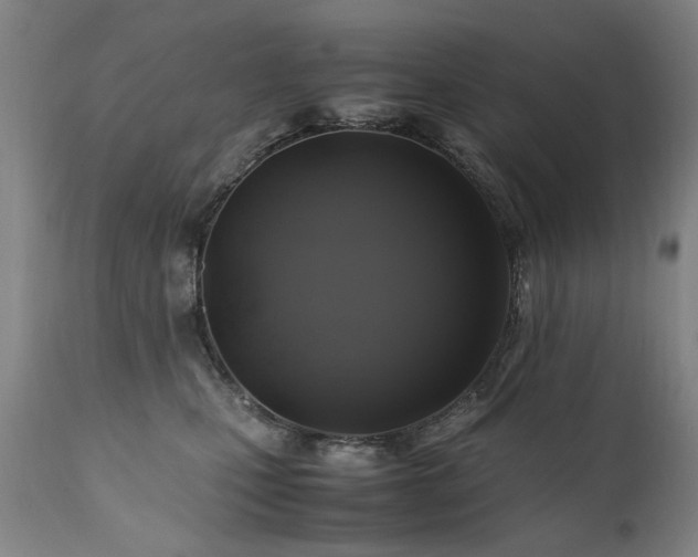X0000110990471200906191431