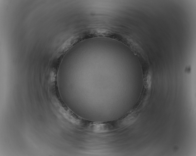 X0000110990472200906191431