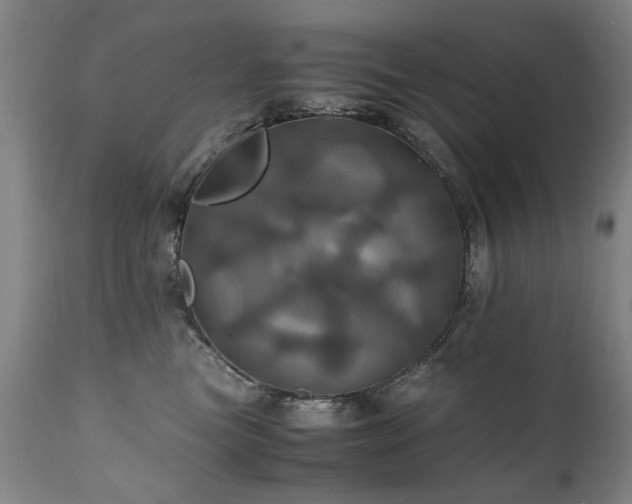 X0000110990473200906191431