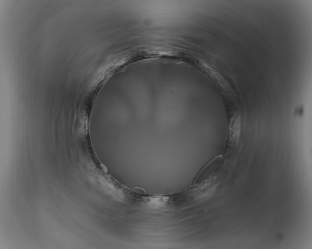 X0000110990474200906191431