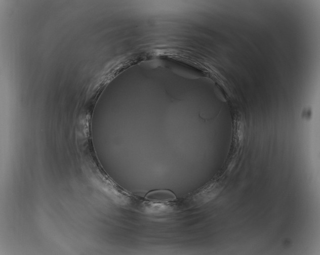 X0000110990475200906191431