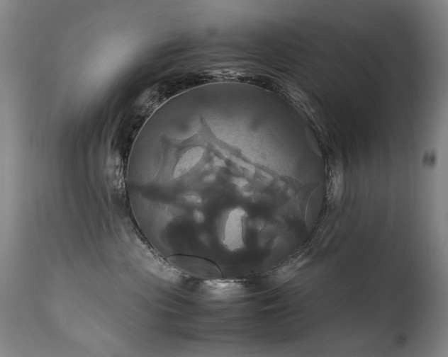 X0000110990477200906191431