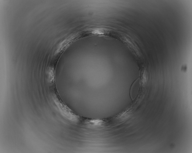X0000110990478200906191431