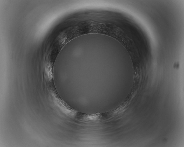 X0000110990479200906191431