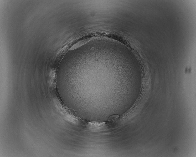X0000110990480200906191431