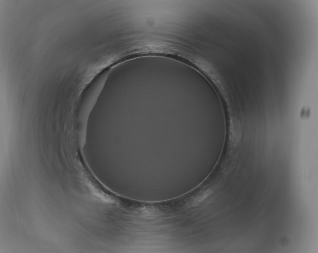 X0000110990481200906191431
