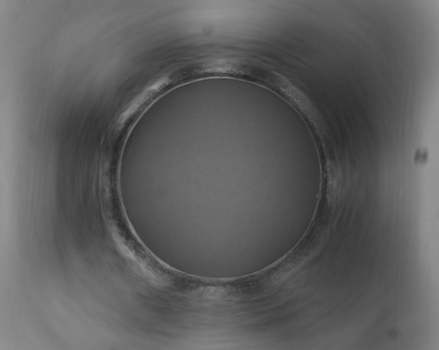 X0000110990482200906191431