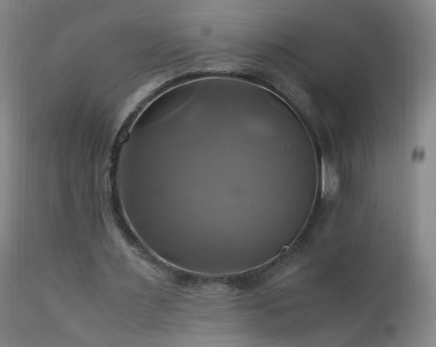 X0000110990483200906191430