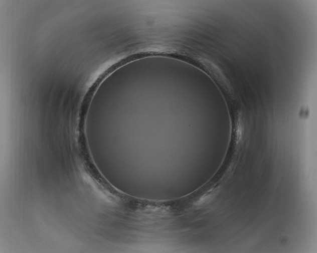 X0000110990484200906191430