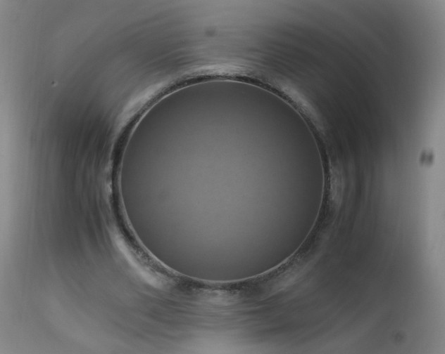 X0000110990486200906191430