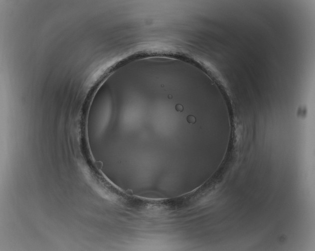 X0000110990487200906191430