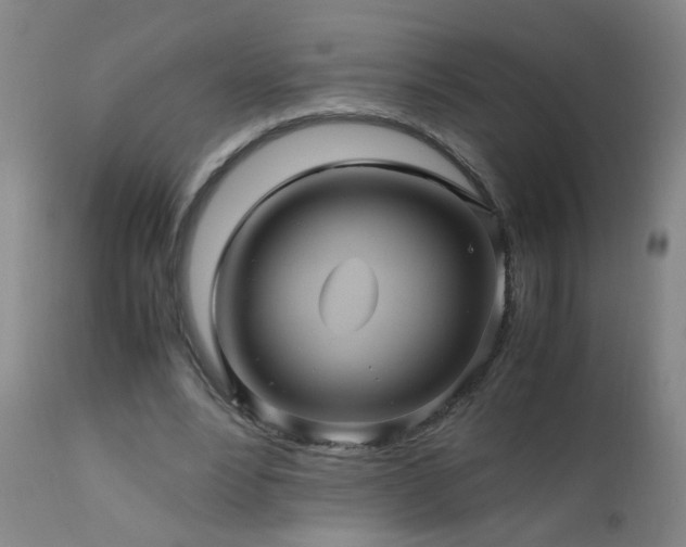 X0000110990488200906191430