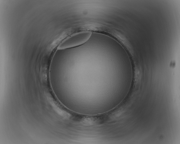 X0000110990489200906191430