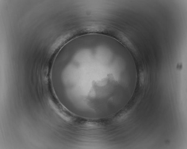 X0000110990490200906191430