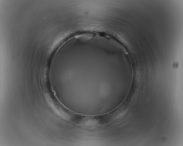 X0000110990491200906191430