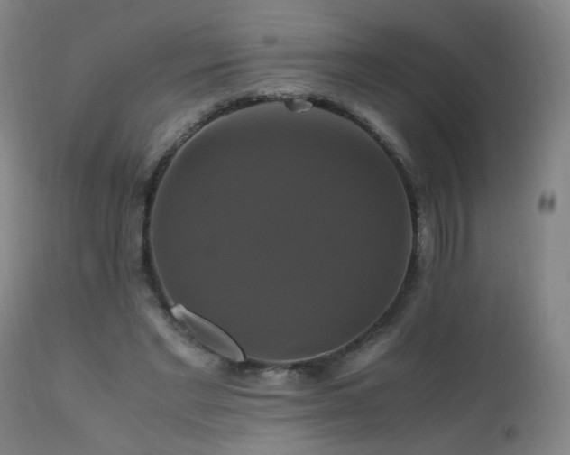 X0000110990493200906191430