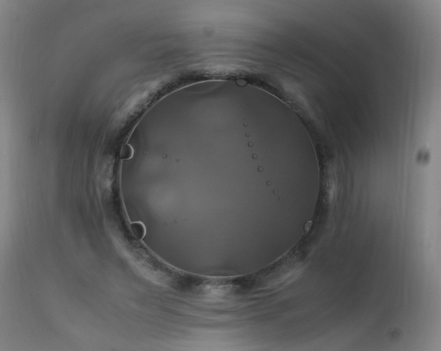X0000110990495200906191430