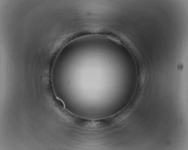 X0000110990497200906191430