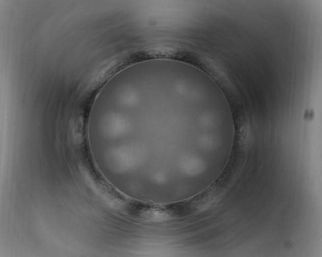 X0000110990498200906191430