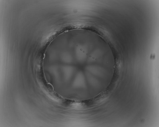 X0000110990499200906191430