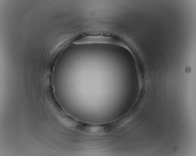 X0000110990501200906191430